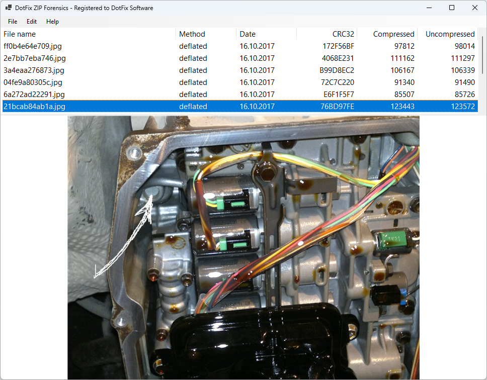 DotFix ZIP Forensics images recovery